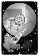 Seagate DB35 7200.3 500GB SATA 3Gb/s (ST3500830SCE)